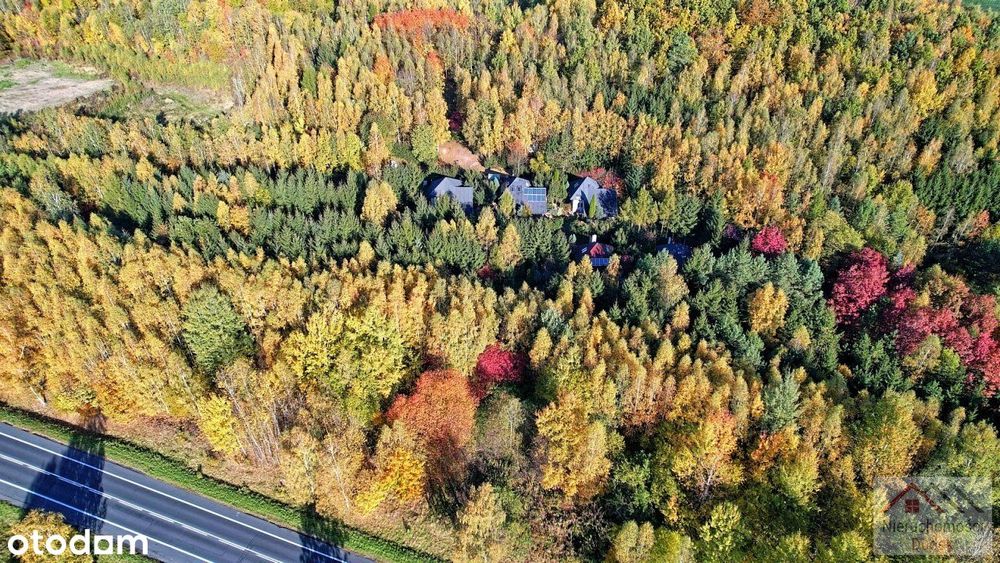 Wyjątkowa nieruchomość - 7600 m2 + 5 domków