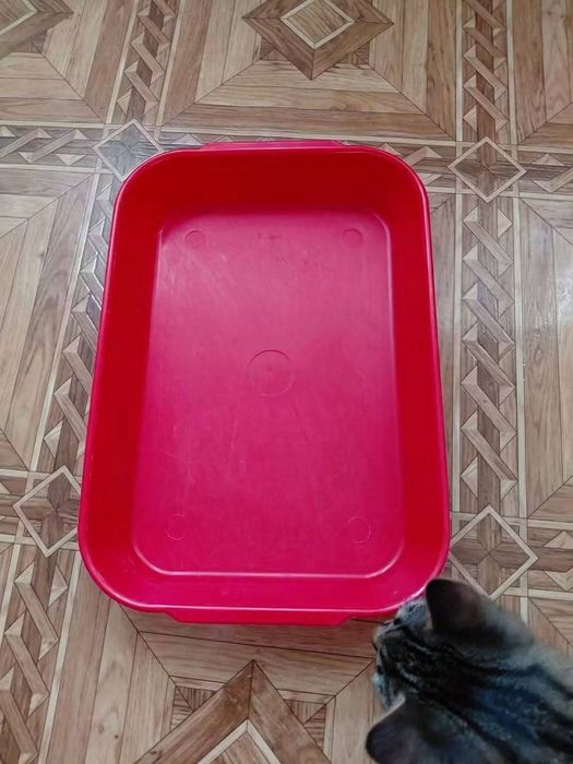 Віддам безкоштовно