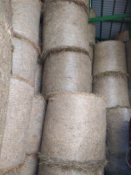 Słoma,siano sucha 130  tani dowóz po prasie lely