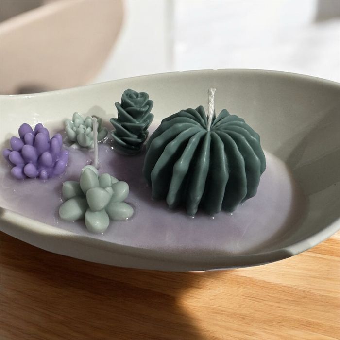 Świeca sojowa kaktusy