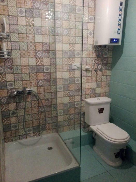 Посуточная аренда дома 250 кв. Метро Левобережная. НОВЫЙ ГОД-СВОБОДНО