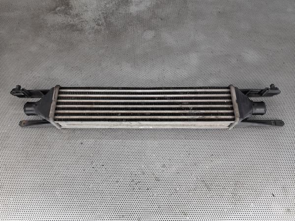Radiador do intercooler FIAT Punto Evo (199_)