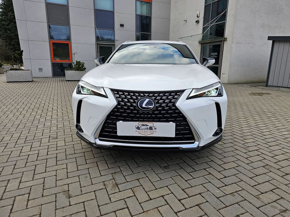 Lexus UX LEXUS UX 300E 2022 ROK