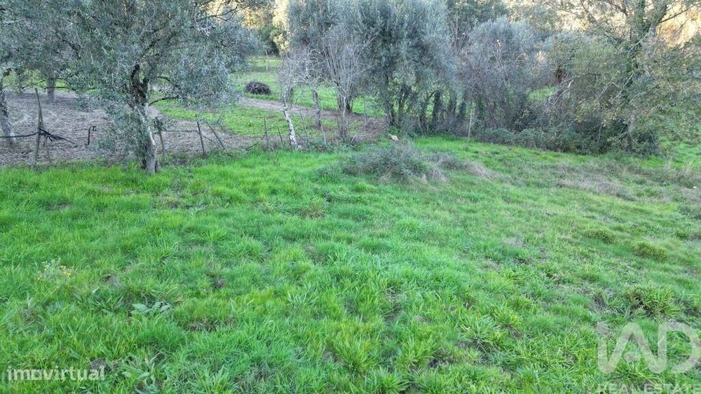 Terreno para construção em Semide e Rio Vide