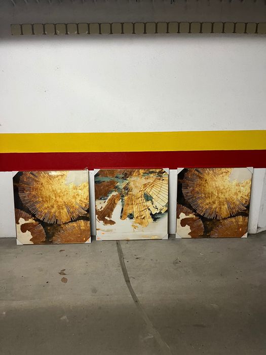 Quadros decoração conjunto ou separados 20 cada