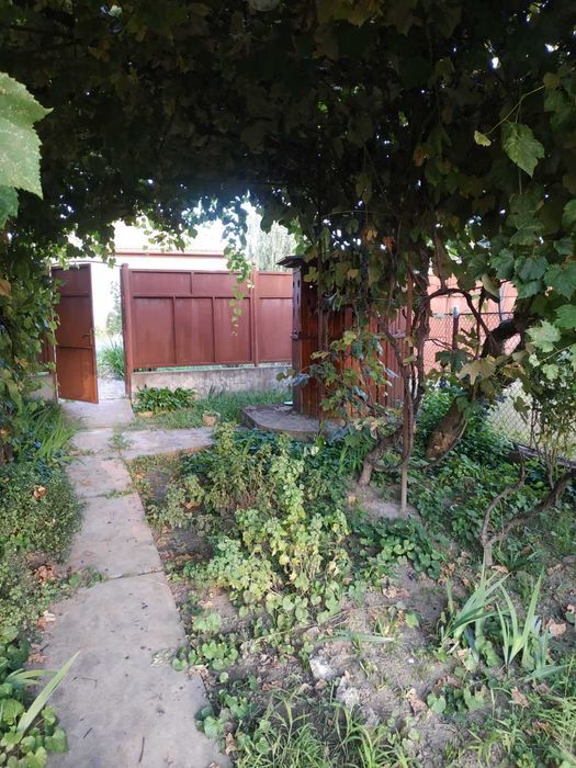 Продам будинок Берегово неподалік