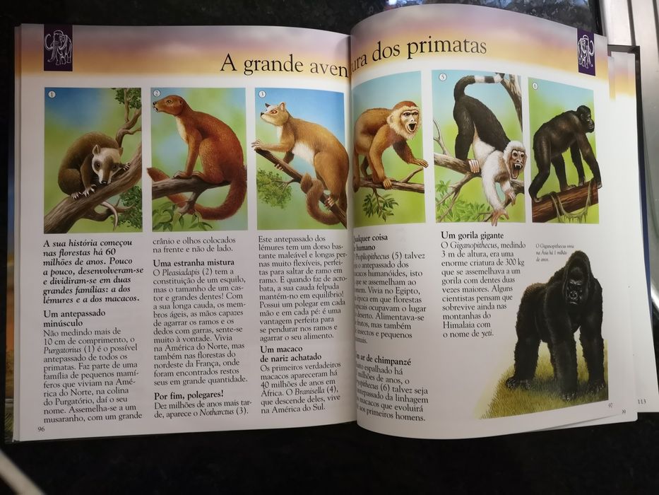 Livro dinossauros e animais desaparecidos
