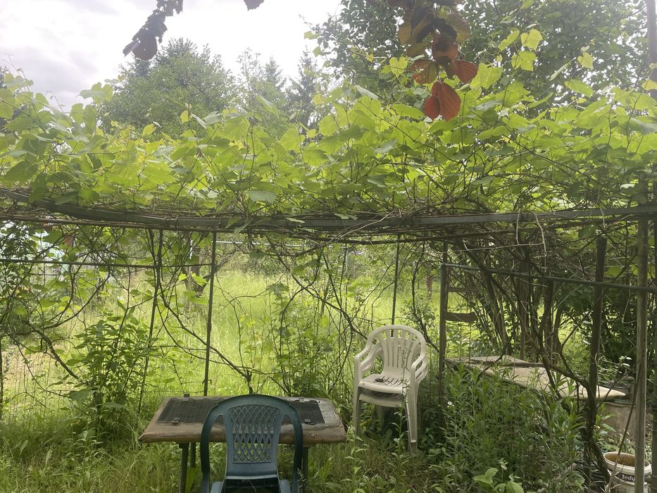 ROD Siekierki 300 m² | Prąd, woda | Owocujące drzewa | 27 000 zł - Widok 4