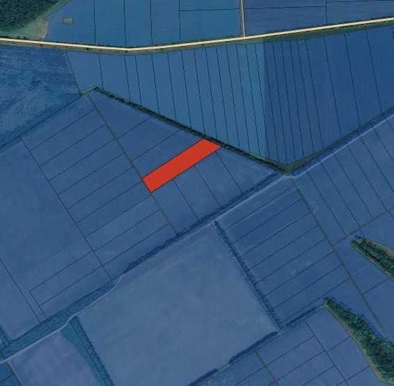 Продам пай у Полтавській області, 2,56 га