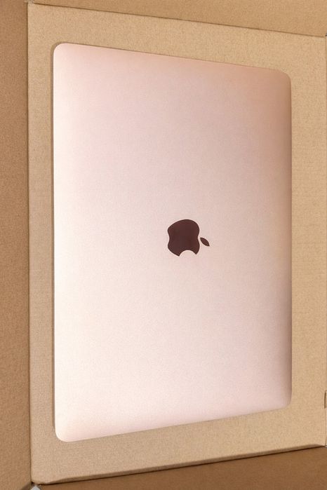 Uszkodzone skrzydło matrycy Macbook Air a2179 Rose Gold