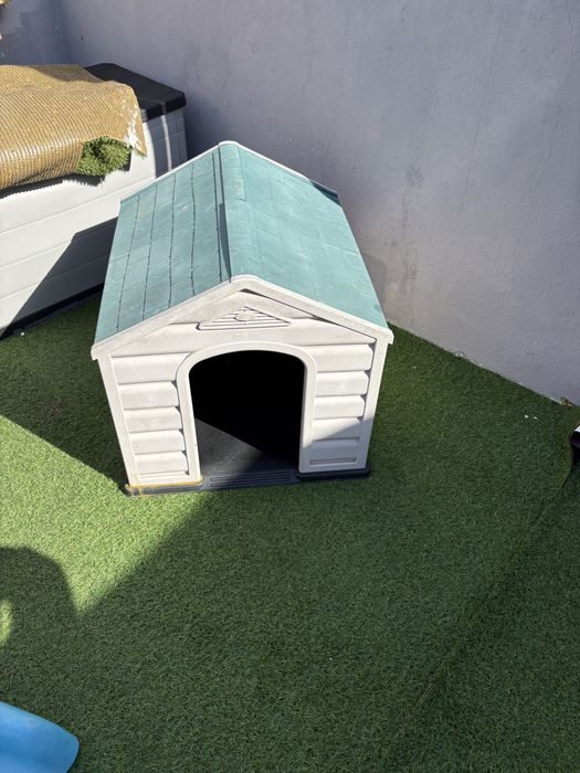 Casota pequena  caes pequenos medios