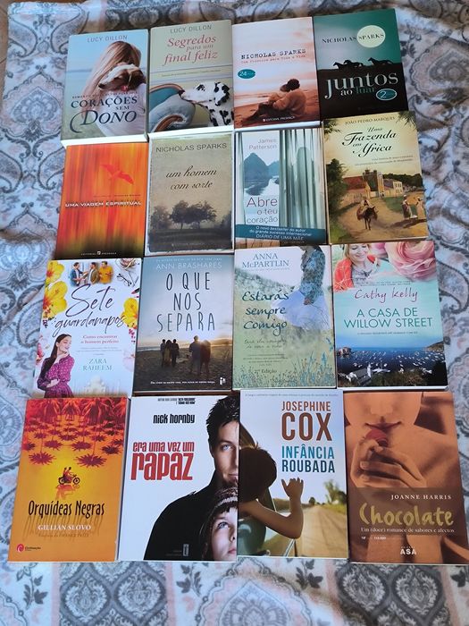 Lote de livros em português