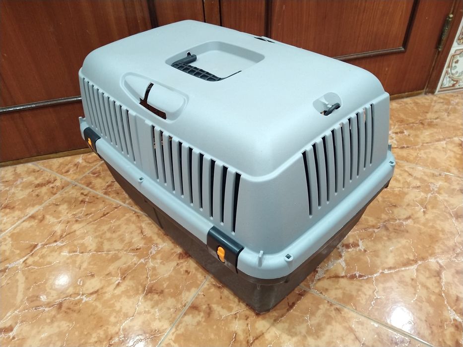 Transportadora de animais avião viagens veterinário casa apartamento.
