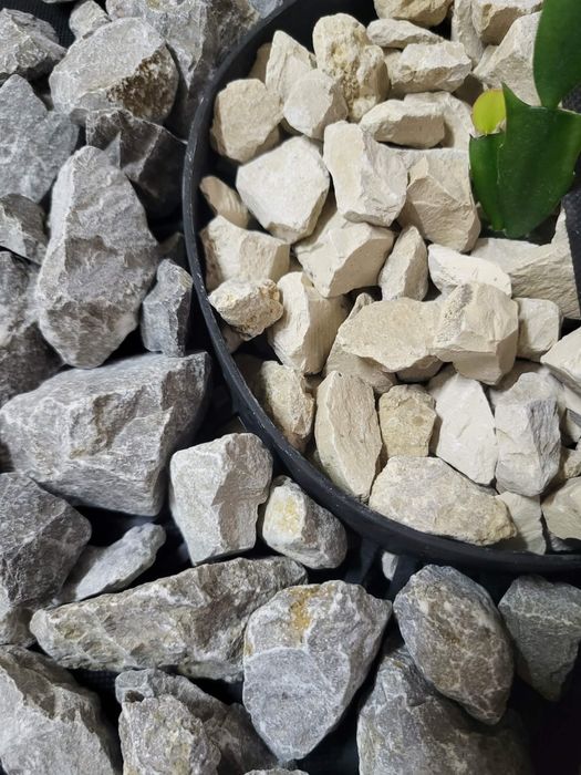 Grys granitowy dalmatyńczyk 16-22mm kamień !