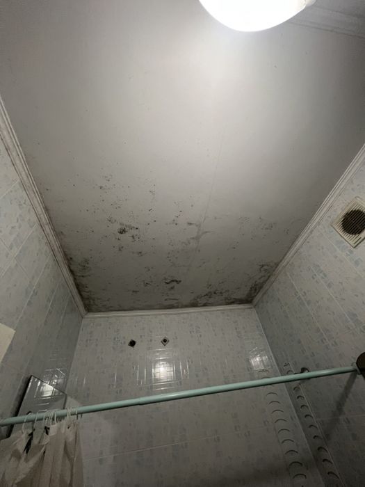 Удаление грибка Удаление поесени , удаление запаха , озон ,дезинфекция