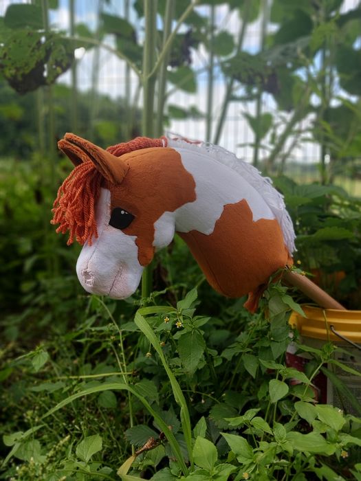 Hobby horse z kijem