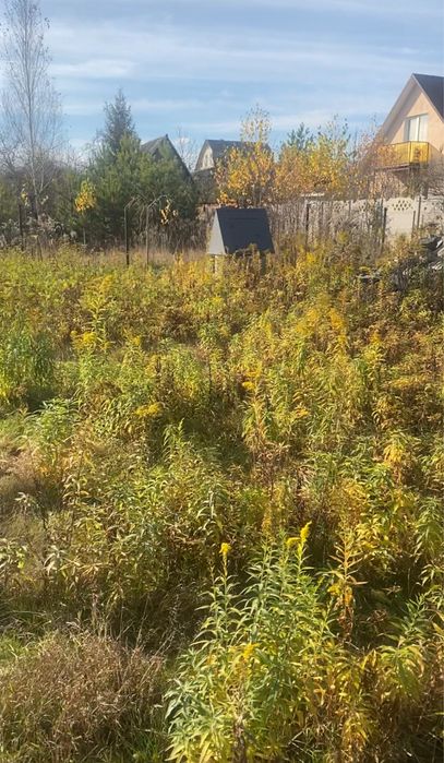 До продажу дача Давидівський масив 7 соток землі