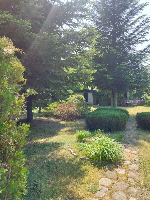 Sprzedam działkę rekreacyjno-ogrodową w Kulowie