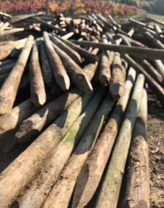 Rede Ovelheira e Rede plastificada e Prumos Usados.