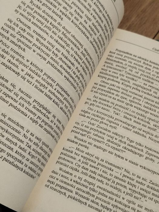 Cień Władcy Sabatu — Andrzej Juliusz Sarwa