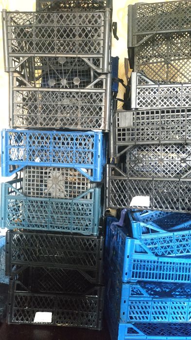 Ящики для хранения овощей и фруктов, пластмассовые