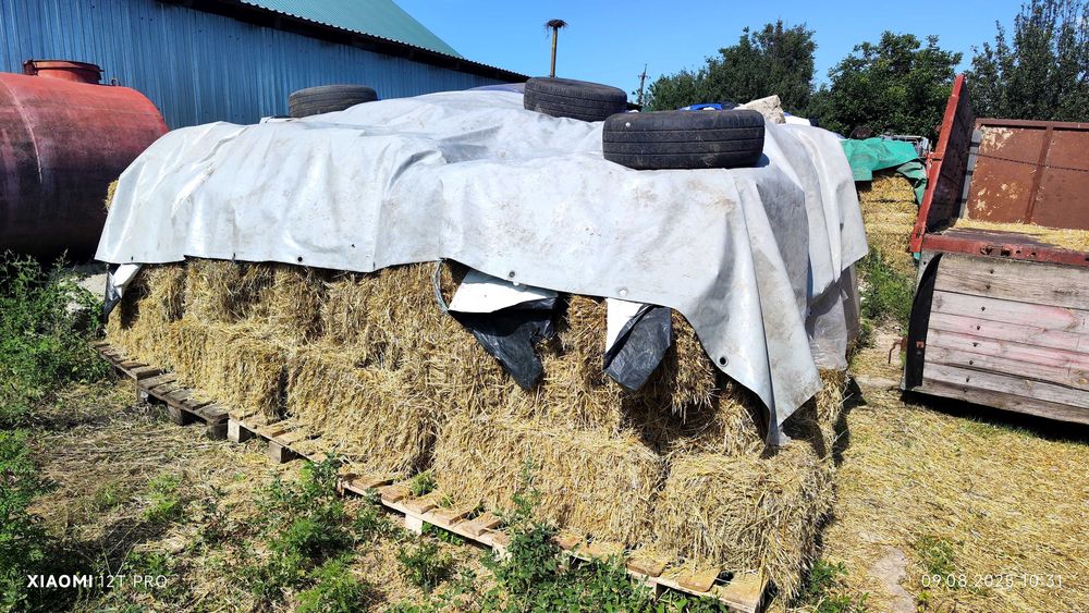 Продам солому в тюках