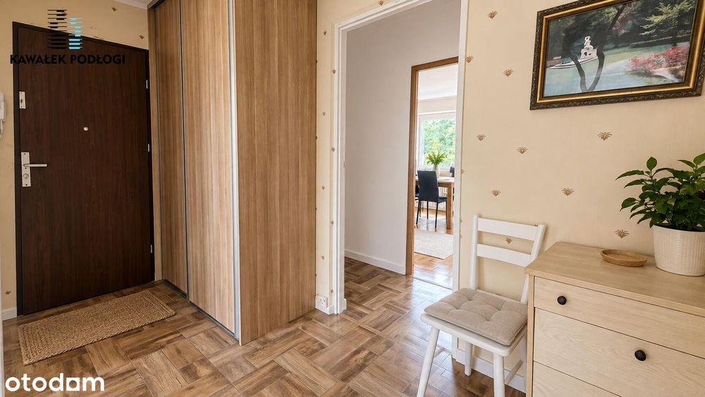 Przygotowane pod wynajem na przeciwko UMK