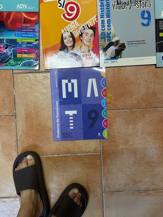 Cadernos de atividades do 9 ano