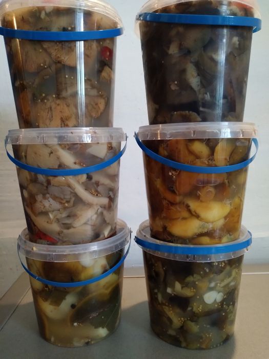 Гриби мариновані, солоні та квашені