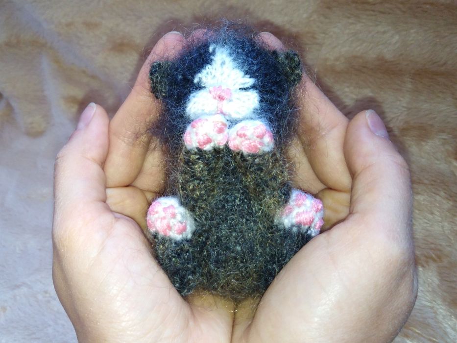 Кошеня - дарунок на свята