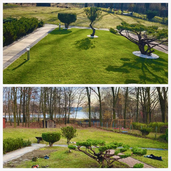 Usługi ogrodnicze Ziółko Garden