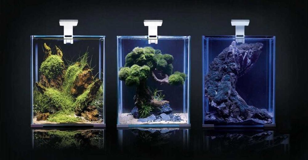 Zestaw Aquael Shrimp Set Smart D&N - 20 litrów - AQUAELZOO GLIWICE