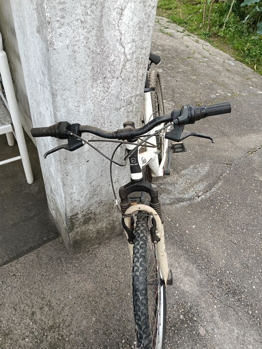 Bicicleta adulto