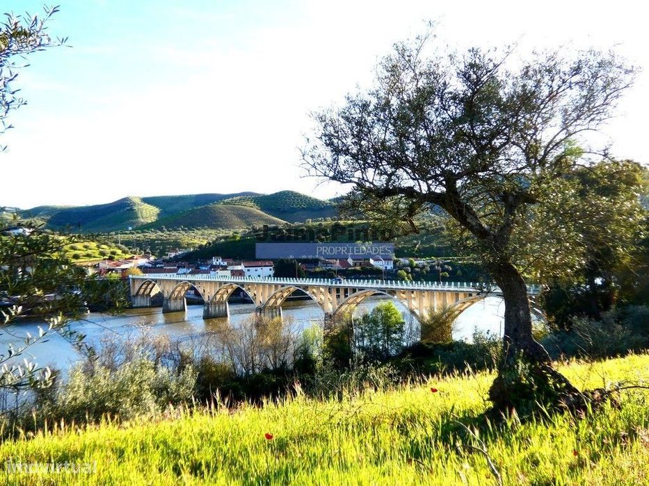 200.000m2 Propriedade com Olival, em Barca DAlva. Portugal, Guarda,...