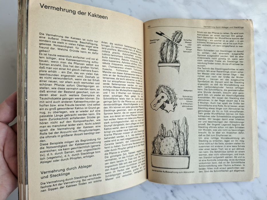 Поради для любителів кактусів Зігфрід Бреме