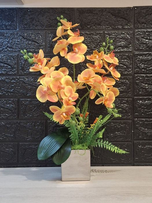 Storczyk pomarańczowy 2