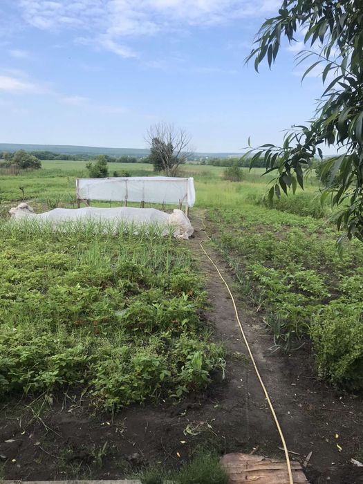 Дом Безлюдовка продам