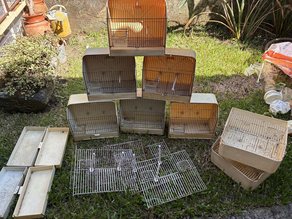 Doze gaiolas de exposição para pássaro