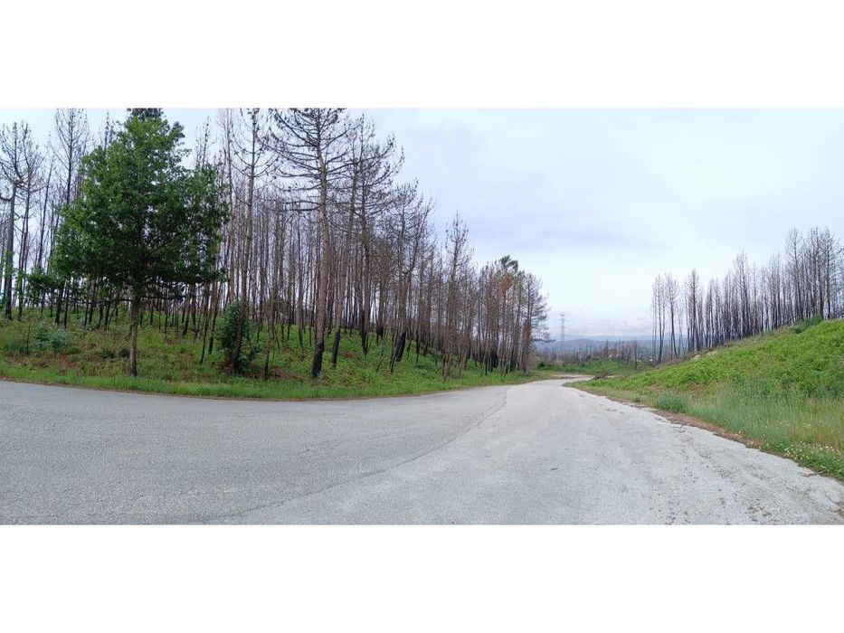Terreno para venda em Mões - Castro Daire — Mões, Viseu