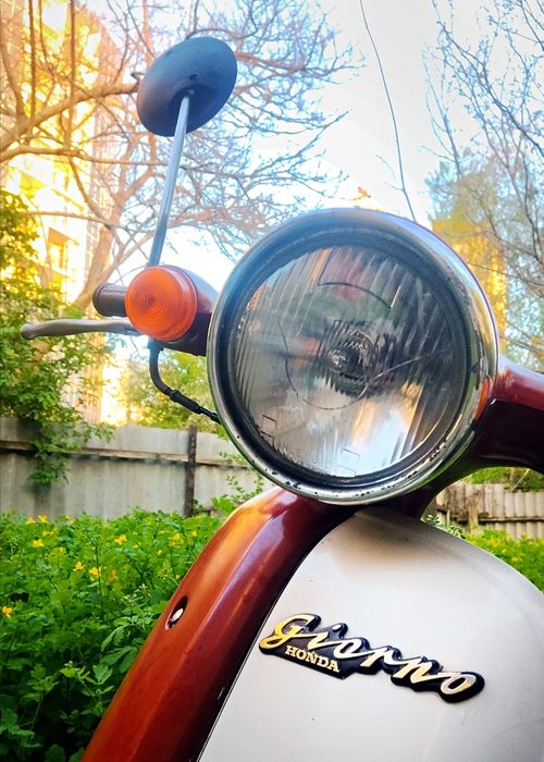 Продам Honda giorno