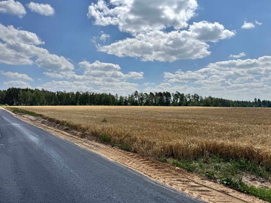 Działki rolne i las na sprzedaż – Podlasie. Piękna, malownicza okolica