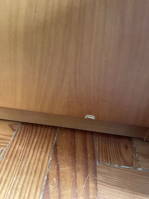 Conjuto moveis de sala