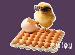 Яйце інкубаційне! Кури перепела