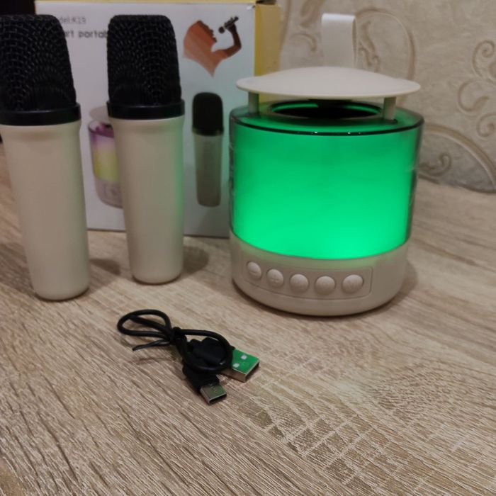 Караоке Bluetooth колонка із двома мікрофонами