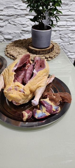 Kaczki karmione naturalnie