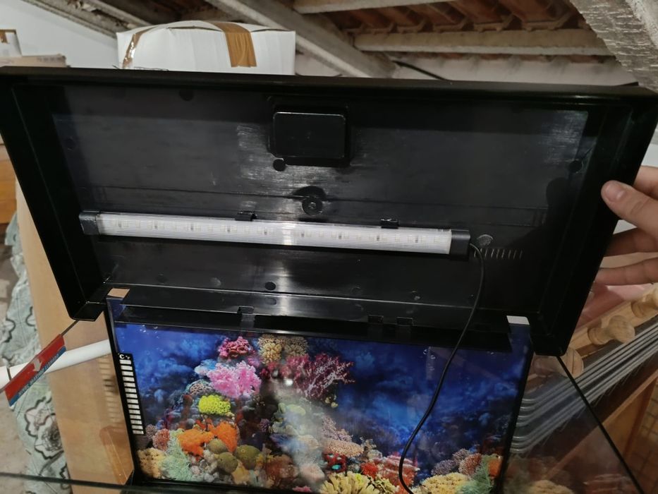 Aquário de peixes c/bomba