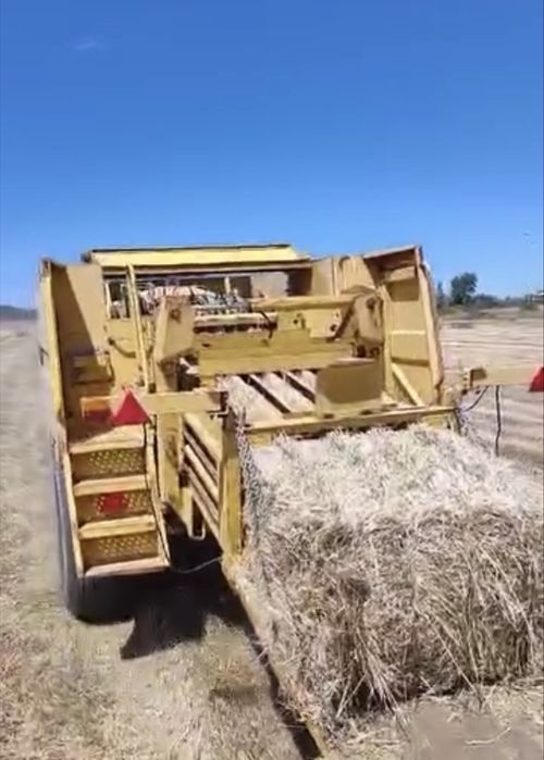 Vende-se enfardadeira New Holland D1000, em ótimo estado de funcionamento.