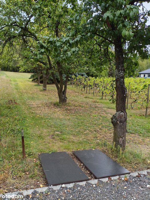 Działka budowlana 4000 m² w spokojnej okolicy