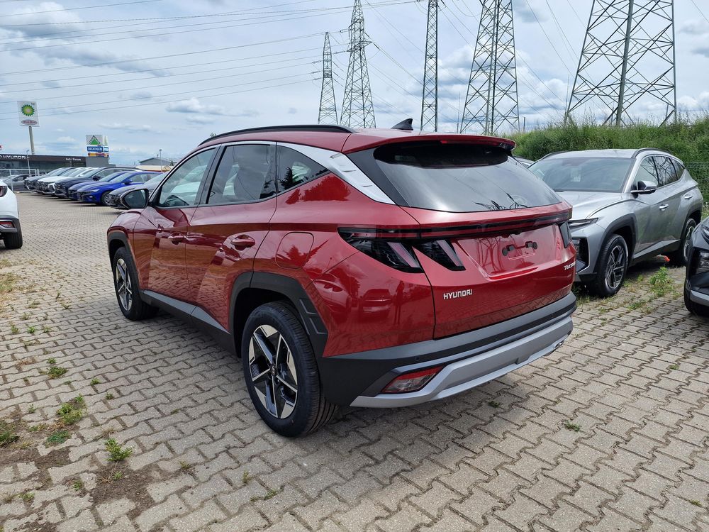 Zdjecie w galerii numer 6