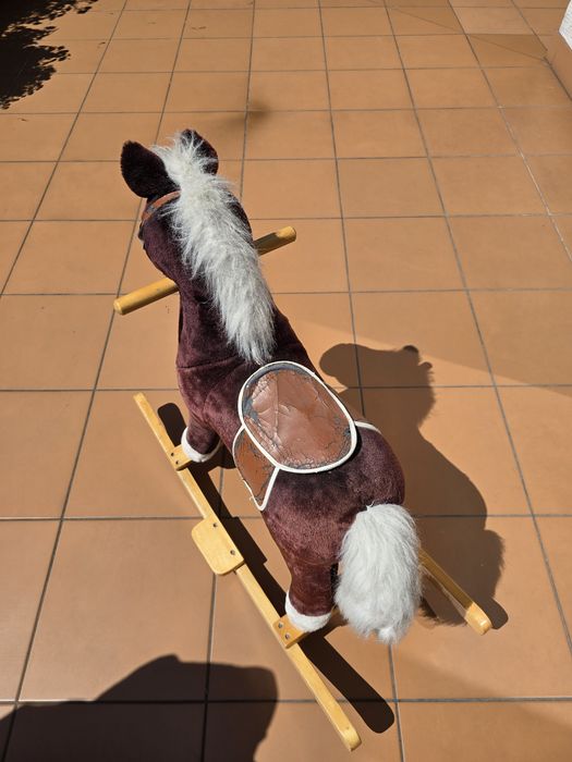 Konik na biegunach
